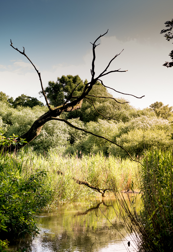 Tara Wolff Photography