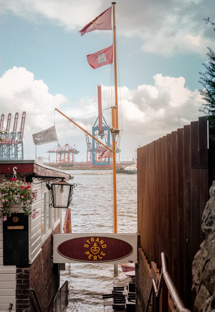 Tara Wolff Photography