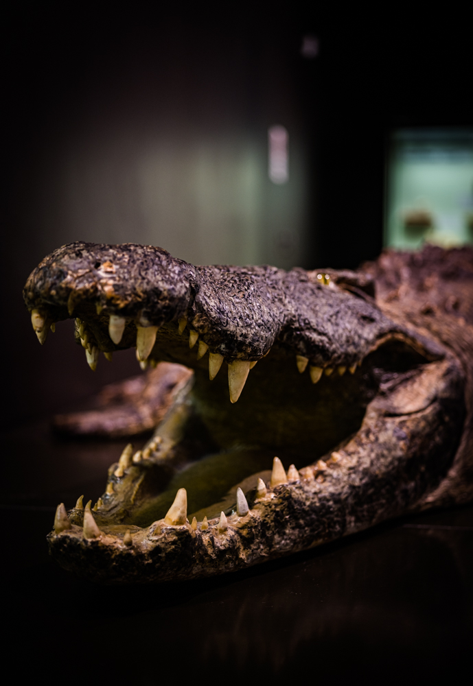 Tara Wolff Photography