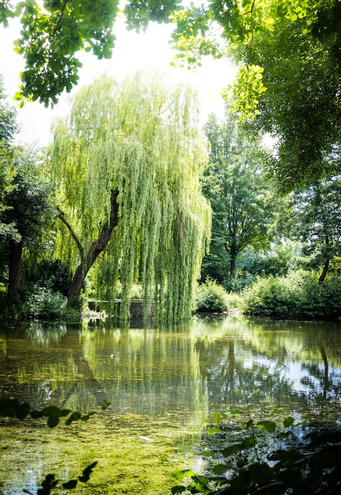 Tara Wolff Photography