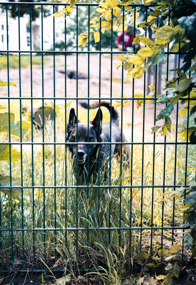 Tara Wolff Photography