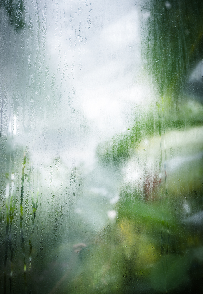 Tara Wolff Photography