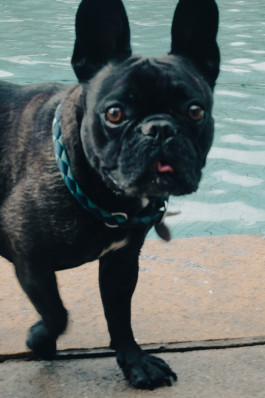 Tara Wolff Photography