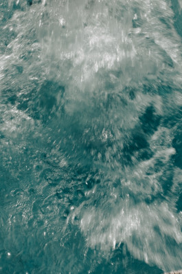 Tara Wolff Photography