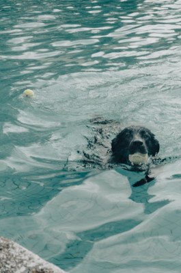 Tara Wolff Photography