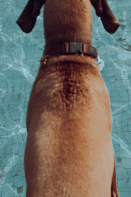 Tara Wolff Photography