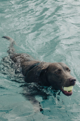 Tara Wolff Photography