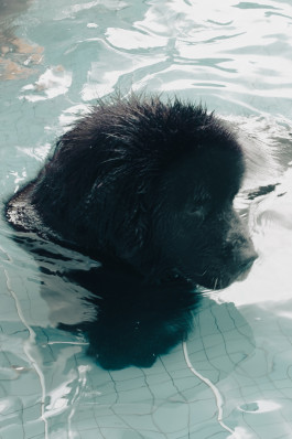 Tara Wolff Photography