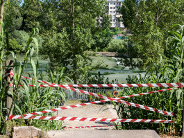 Tara Wolff Photography