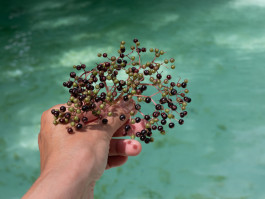 Tara Wolff Photography