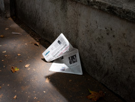 Tara Wolff Photography