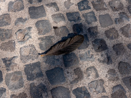 Tara Wolff Photography