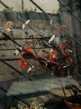 Tara Wolff Photography