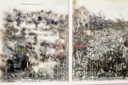 Tara Wolff Photography