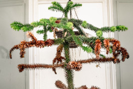 Tara Wolff Photography