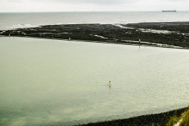 Tara Wolff Photography