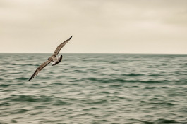 Tara Wolff Photography