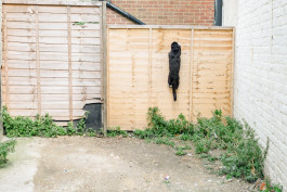 Tara Wolff Photography