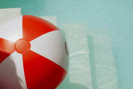 Tara Wolff Photography