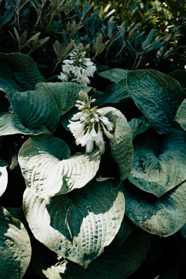 Tara Wolff Photography