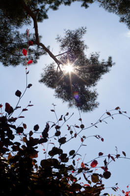 Tara Wolff Photography