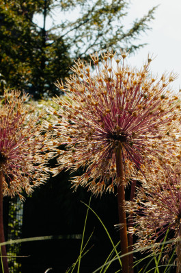 Tara Wolff Photography