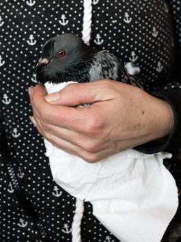 Tara Wolff Photography