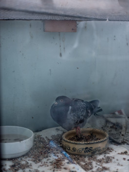 Tara Wolff Photography