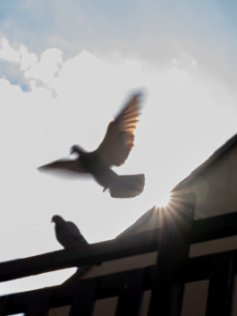 Tara Wolff Photography