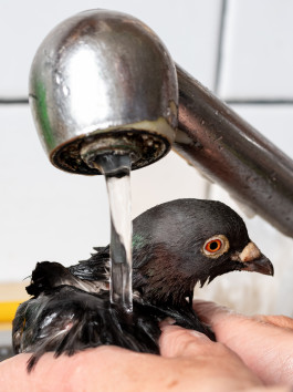 Tara Wolff Photography