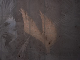 Tara Wolff Photography