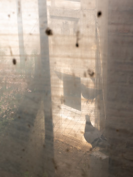 Tara Wolff Photography