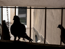 Tara Wolff Photography