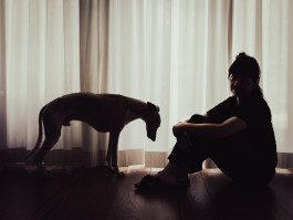 Tara Wolff Photography